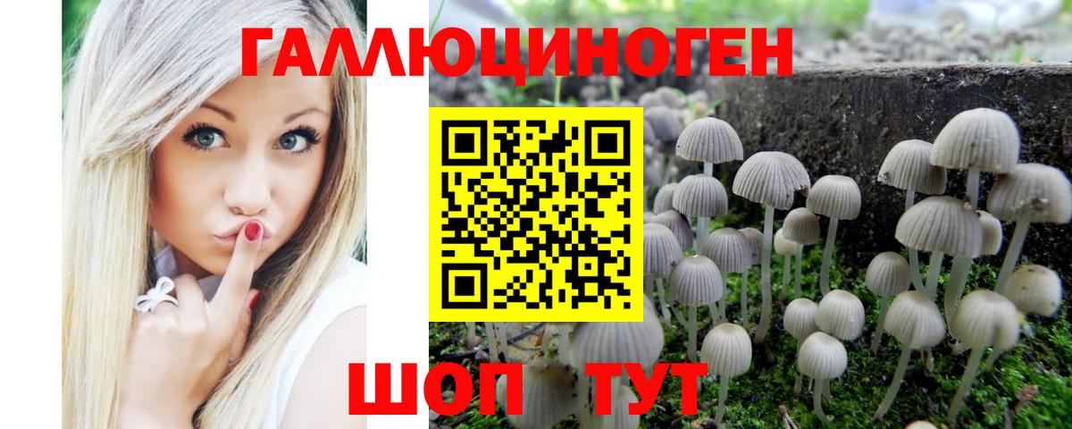 Заинск  Галлюциногенные грибы ЛСД  Вход с VPN 