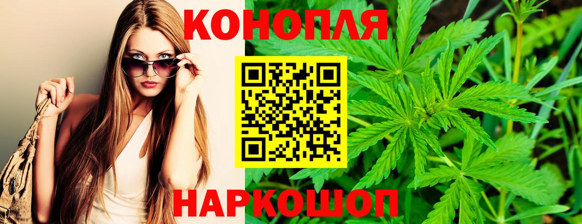 Конопля план Заинск